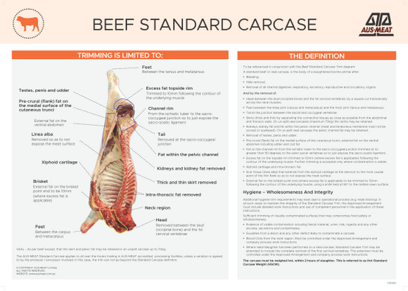 Beef Standard Carcase Poster
